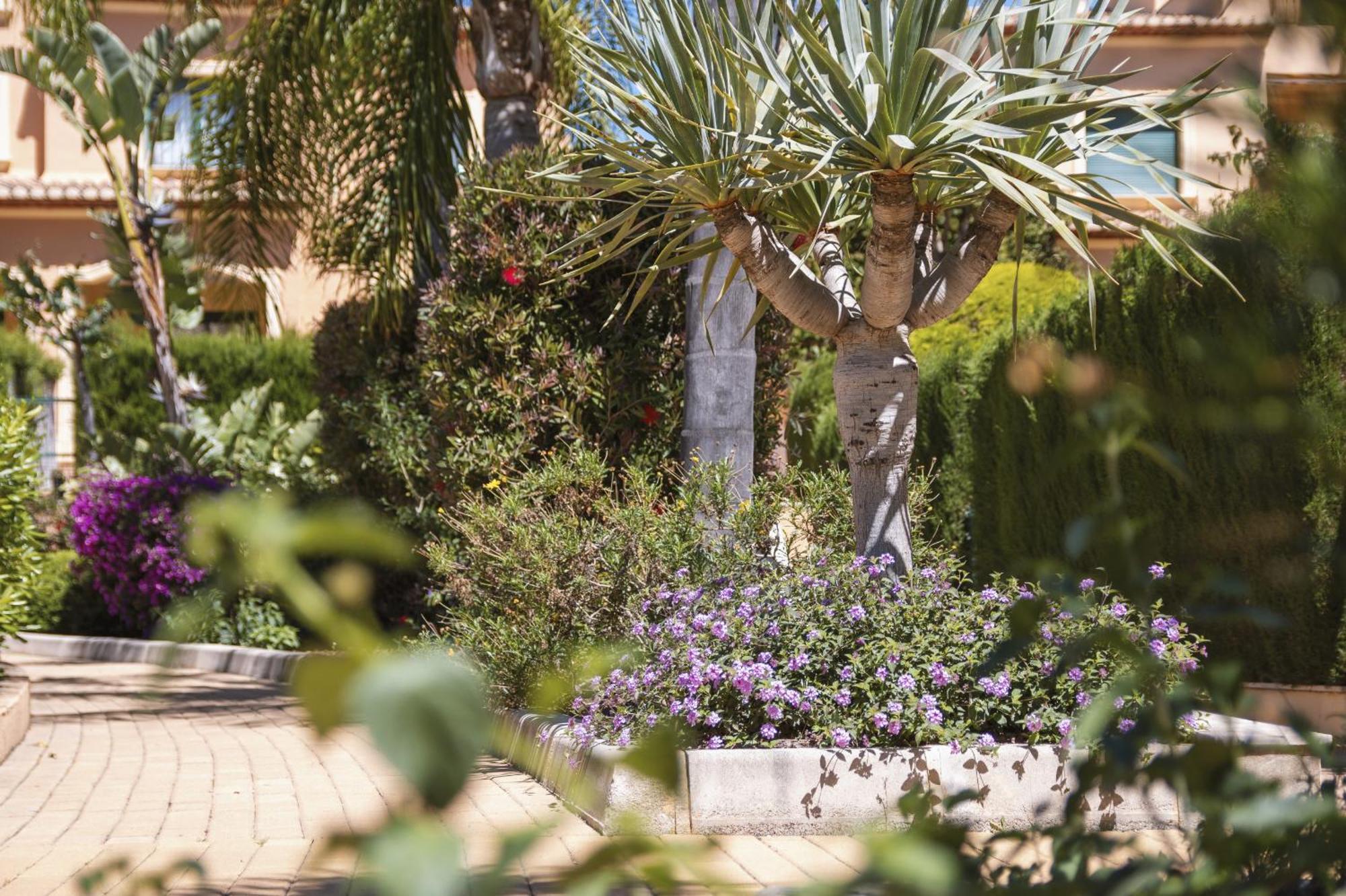 Floridamar Apartment Jávea Exterior foto